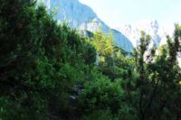 2014-08-02_04Zum-Totenkirchl (101).JPG